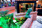 Your hair transplant and cost Douglas Inn & Conference Center in Douglas in Wyoming
