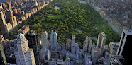 Your hair transplant and cost Marc Avram, Md in New York in New York